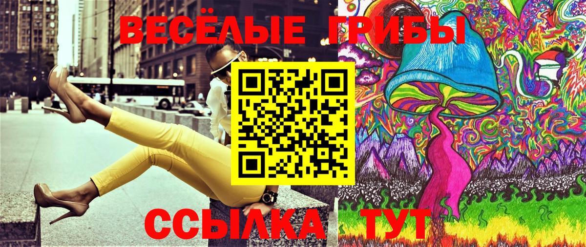 Галлюциногенные грибы Psilocybe Салехард