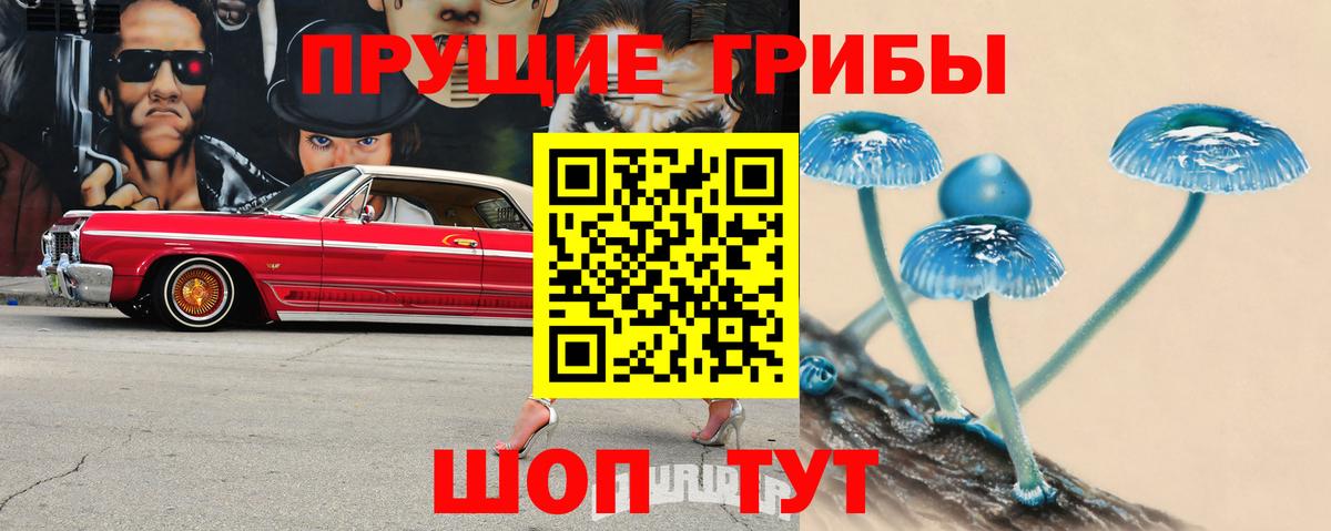 Салехард  купить наркотики сайты  Вход с VPN  Псилоцибиновые грибы Magic Shrooms  Галлюциногенные грибы мицелий 